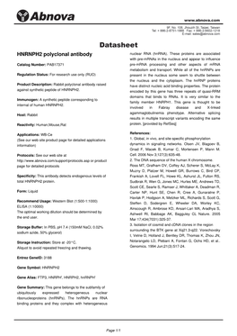 HNRNPH2 Polyclonal Antibody Nuclear RNA (Hnrna)