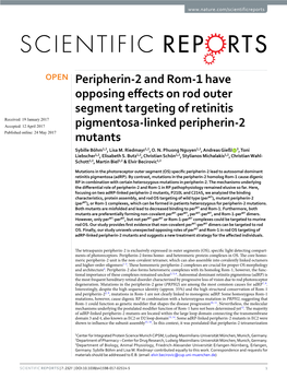 Peripherin-2 and Rom-1 Have Opposing Effects on Rod Outer