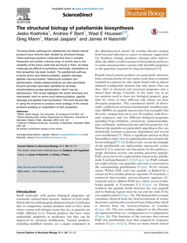 The Structural Biology of Patellamide Biosynthesis