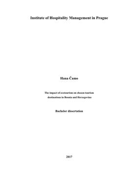 Cover of the Bachelor Dissertation