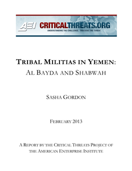 Tribal Militias in Yemen: Al Bayda and Shabwah