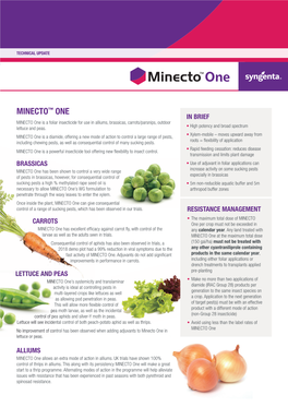 MINECTO™ ONE in BRIEF MINECTO One Is a Foliar Insecticide for Use in Alliums, Brassicas, Carrots/Parsnips, Outdoor Lettuce and Peas