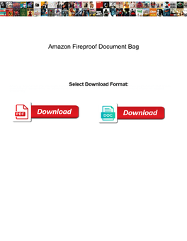 Amazon Fireproof Document Bag