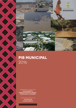 Pib Municipal 2016
