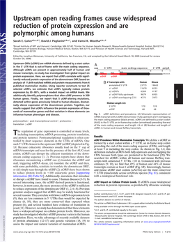 Upstream Open Reading Frames Cause Widespread Reduction of Protein Expression and Are Polymorphic Among Humans