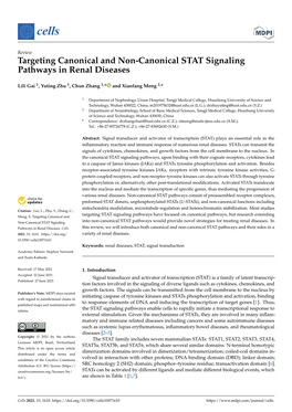 Targeting Canonical and Non-Canonical STAT Signaling Pathways in Renal Diseases