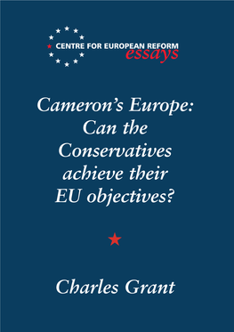 Cameron's Europe