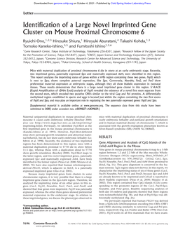 Identification of a Large Novel Imprinted Gene Cluster on Mouse