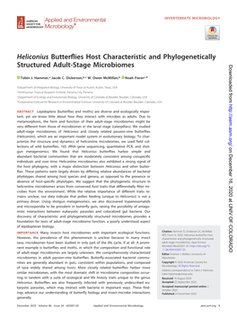Heliconius Butterflies Host Characteristic and Phylogenetically Structured Adult-Stage Microbiomes
