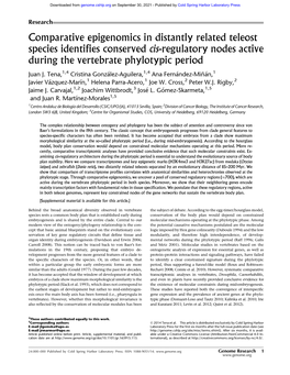 Comparative Epigenomics in Distantly Related Teleost Species Identifies Conserved Cis-Regulatory Nodes Active During the Vertebrate Phylotypic Period