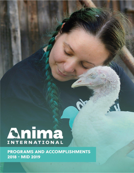 Anima International, 2019