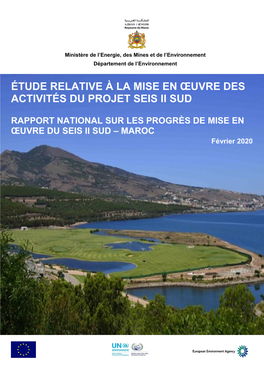 Étude Relative À La Mise En Œuvre Des Activités Du Projet Seis Ii Sud