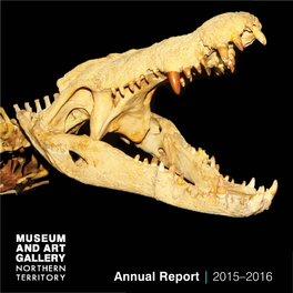 Annual Report 2015-2016, Museum and Art Gallery