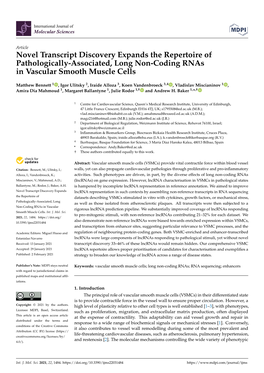 Novel Transcript Discovery Expands the Repertoire of Pathologically-Associated, Long Non-Coding Rnas in Vascular Smooth Muscle Cells