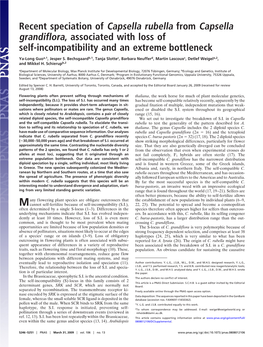 Recent Speciation of Capsella Rubella from Capsella Grandiflora, Associated with Loss of Self-Incompatibility and an Extreme Bottleneck