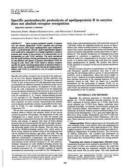 Specific Postendocytic Proteolysis of Apolipoprotein B in Oocytes