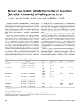 Thrips (Thysanoptera) Collected from Solanum Dulcamara (Solanales: Solanaceae) in Washington and Idaho Carmen I