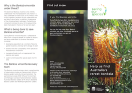 Help Us Find Australia's Rarest Banksia