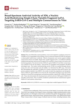 Scfv), Targeting SARS-Cov-2 and Multiple Coronaviruses in Vitro