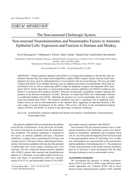 FORUM MINIREVIEW the Non-Neuronal Cholinergic System