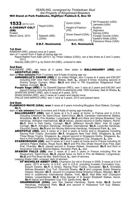 YEARLING, Consigned by Trickledown Stud the Property of Kingsmead Breeders Will Stand at Park Paddocks, Highflyer Paddock E, Box 50