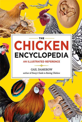 The Chicken Encyclopedia the Chicken Encyclopedia