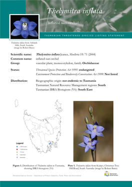 Thelymitra Inflata Inflata (Inflated Sun-Orchid)