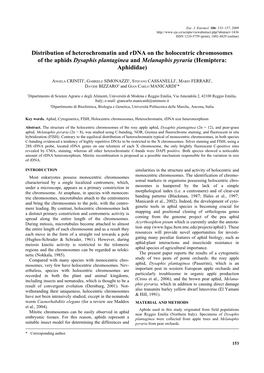 Distribution of Heterochromatin and Rdna on the Holocentric Chromosomes of the Aphids Dysaphis Plantaginea and Melanaphis Pyraria (Hemiptera: Aphididae)