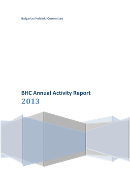 BHC Annual Activity Report 2013