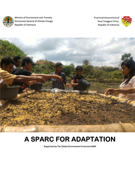 A Sparc for Adaptation