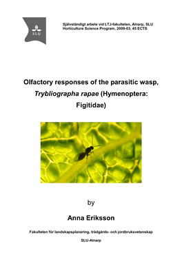 Olfactory Responses of the Parasitic Wasp, Trybliographa Rapae (Hymenoptera: Figitidae)