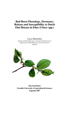 Bud Burst Phenology, Dormancy Release and Susceptibility to Dutch Elm Disease in Elms (Ulmus Spp.)