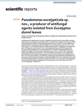 Pseudomonas Eucalypticola Sp. Nov., a Producer of Antifungal Agents Isolated from Eucalyptus Dunnii Leaves