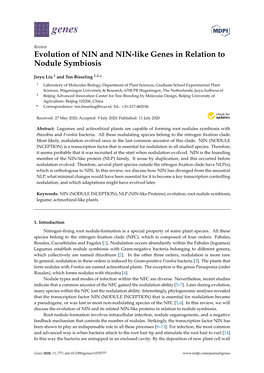 Evolution of NIN and NIN-Like Genes in Relation to Nodule Symbiosis