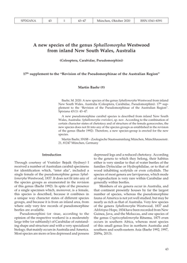 A New Species of the Genus Sphallomorpha Westwood from Inland New South Wales, Australia