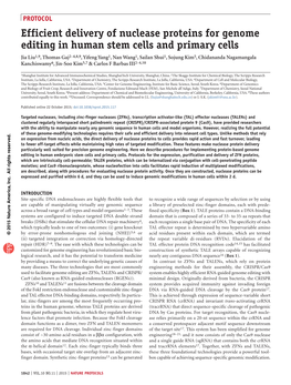 Efficient Delivery of Nuclease Proteins for Genome Editing in Human Stem