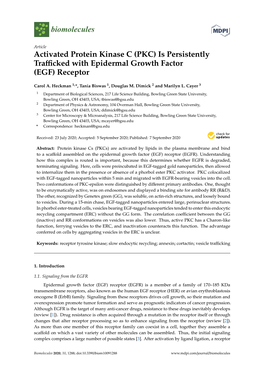 Activated Protein Kinase C (PKC) Is Persistently Trafficked With