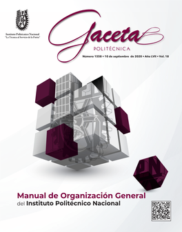 Manual De Organización General