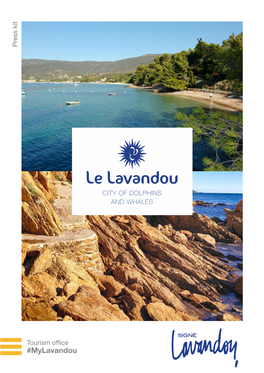 Le Lavandou City Ofdolphins and Whales Good Reasons to Come to Le Lavandou