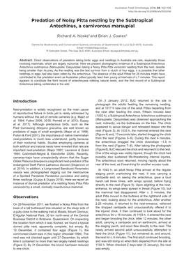 Predation of Noisy Pitta Nestling by the Subtropical Antechinus, a Carnivorous Marsupial