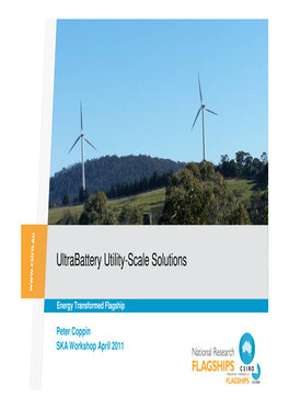 Ultrabattery Utility-Scale Solutions