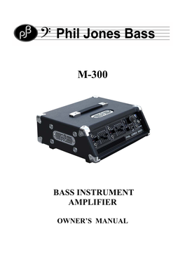 Bass Instrument Amplifier