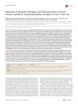 Detection of Zoonotic Pathogens and Characterization of Novel Viruses Carried by Commensal Rattus Norvegicus in New York City