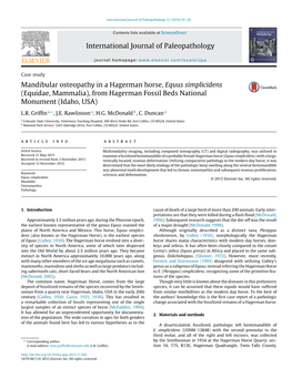 Mandibular Osteopathy in a Hagerman Horse, Equus Simplicidens