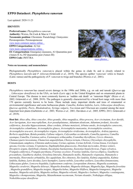 Phytophthora Ramorum