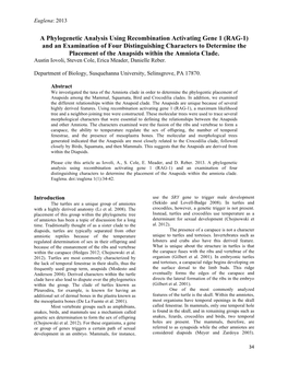 A Phylogenetic Analysis Using Recombination Activating Gene 1