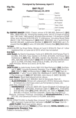 BAY FILLY Barn 2 Hip No. 1645