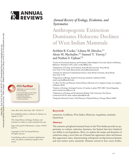 Anthropogenic Extinction Dominates Holocene Declines of West Indian Mammals