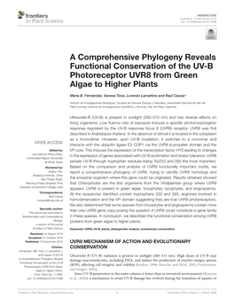 A Comprehensive Phylogeny Reveals Functional Conservation of the UV-B Photoreceptor UVR8 from Green Algae to Higher Plants