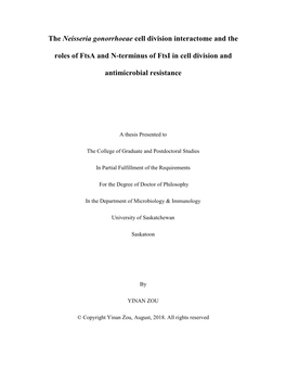 The Neisseria Gonorrhoeae Cell Division Interactome and the Roles